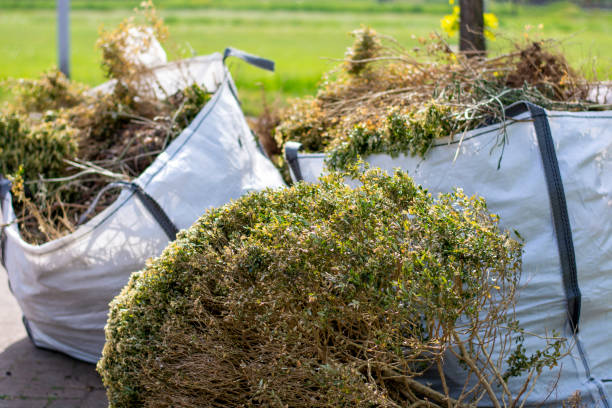 Best Junk Removal for Businesses  in Waynesville, NC